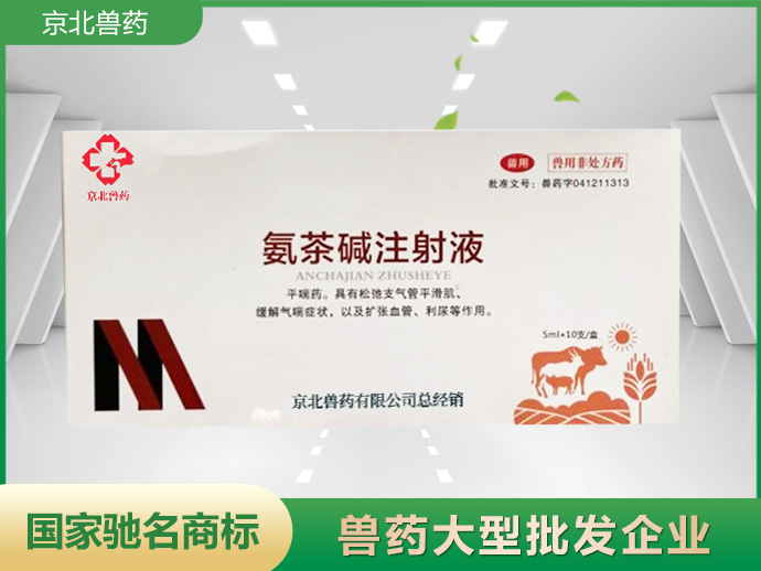 氨茶碱注射液