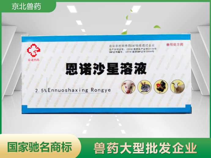 肠安