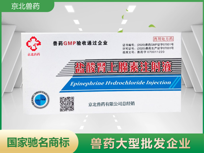 盐酸肾上腺素注射液