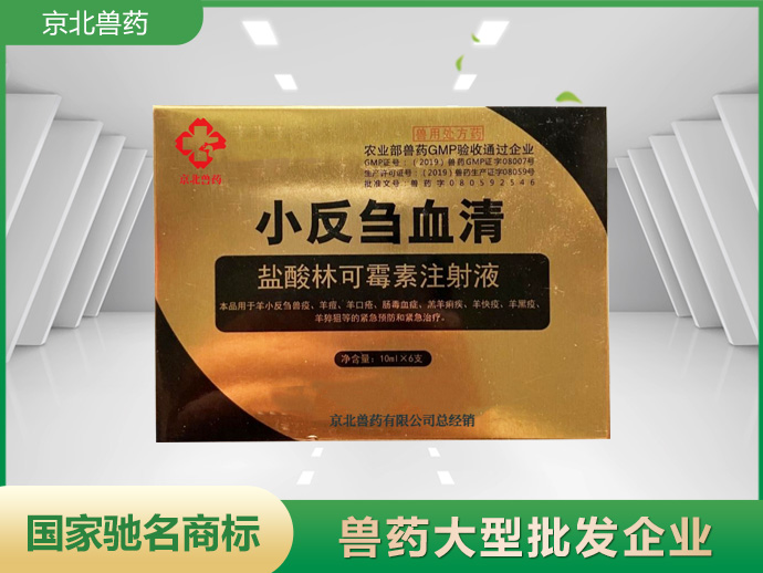 小反刍血清