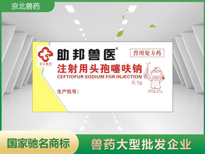 助邦兽医注射用头孢噻呋钠