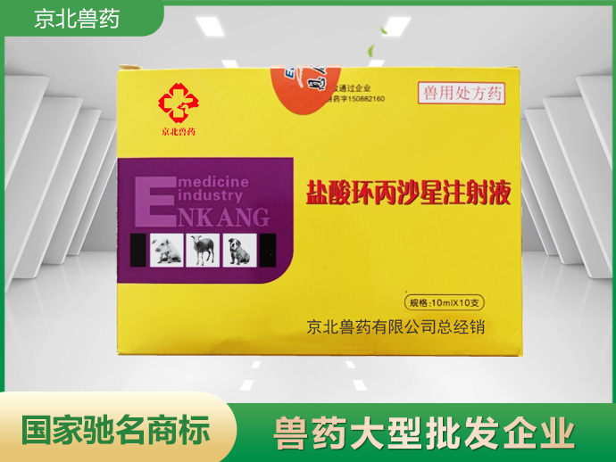 盐酸环丙沙星注射液