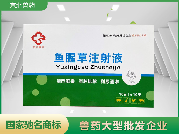 鱼腥草注射液