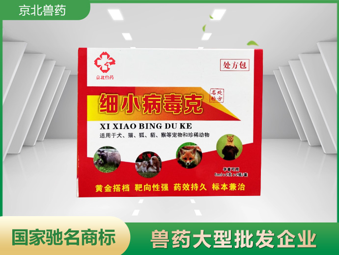 细小病毒克