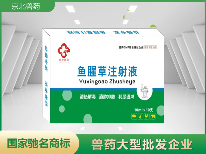 鱼腥草注射液